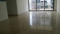 The Luxurie (D19), Condominium #321762731